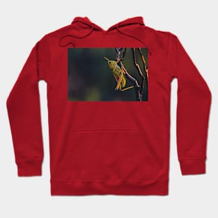 Wild life design Hoodie